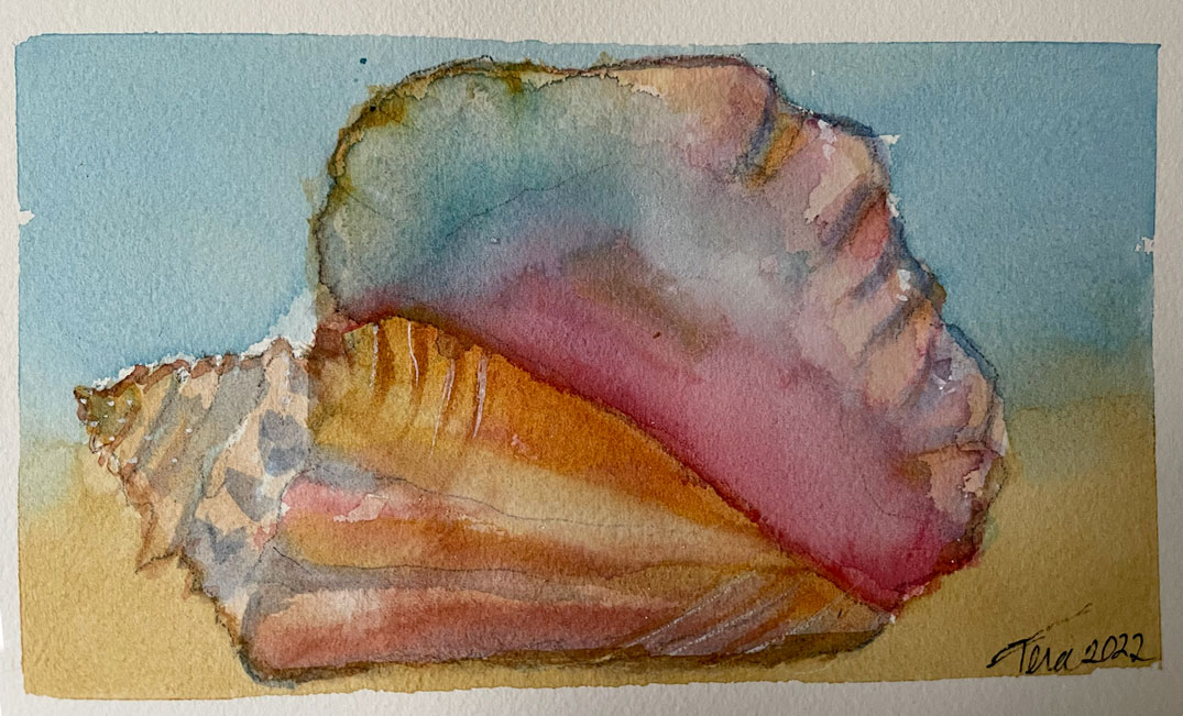 Shell